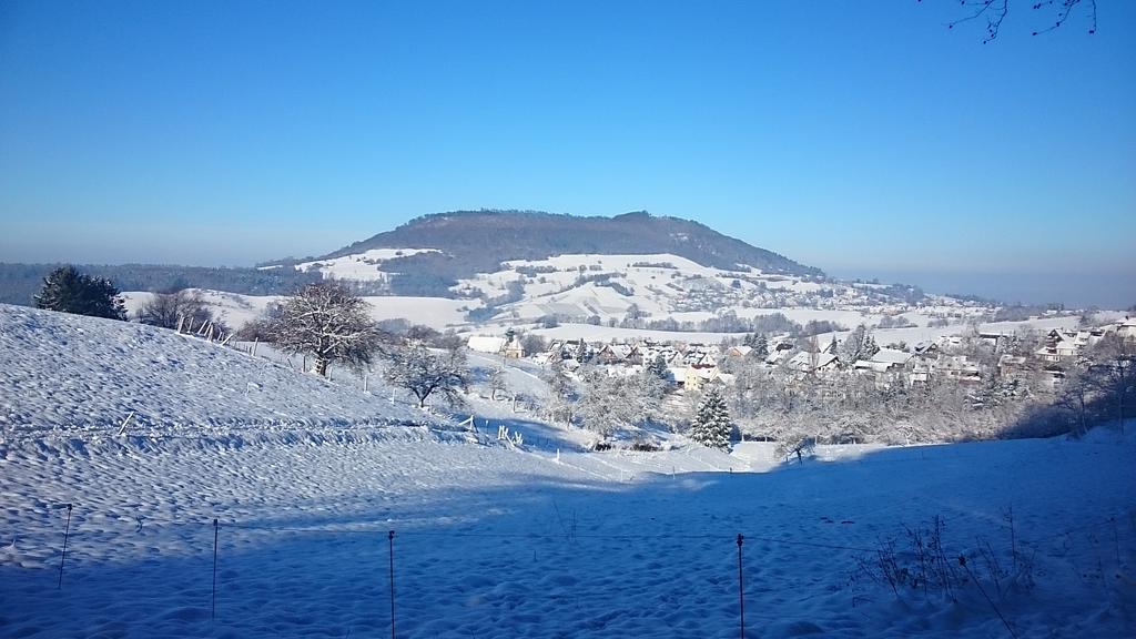Familien Themen-Appartement Freiburg In Soelden 2 Schlafzimmer Exteriör bild