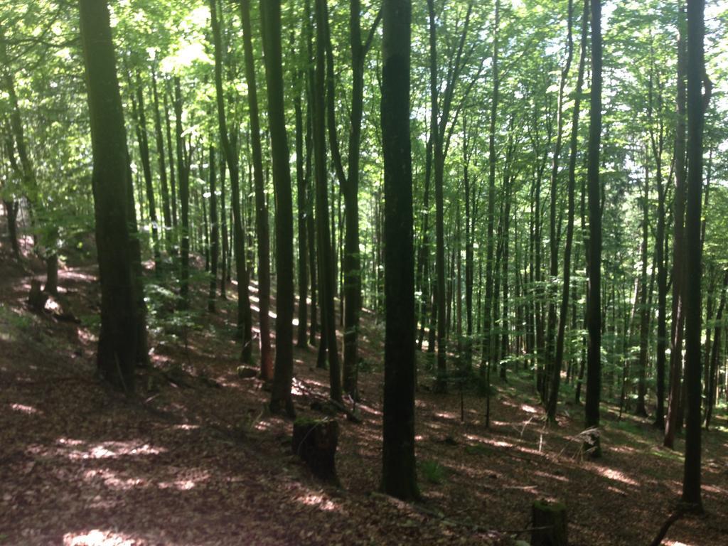Familien Themen-Appartement Freiburg In Soelden 2 Schlafzimmer Exteriör bild